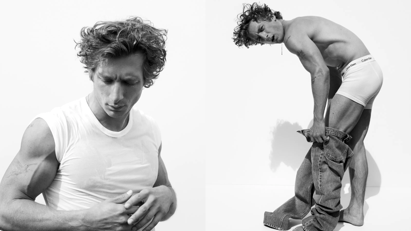 jeremy allen white calvin klein